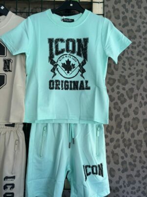 Icon set fell groen