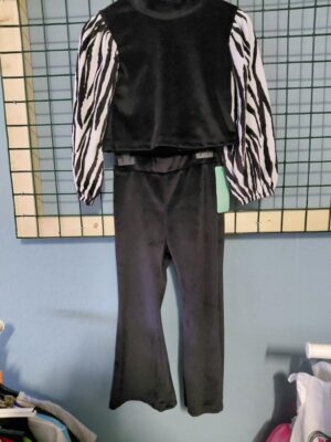 Zebra set