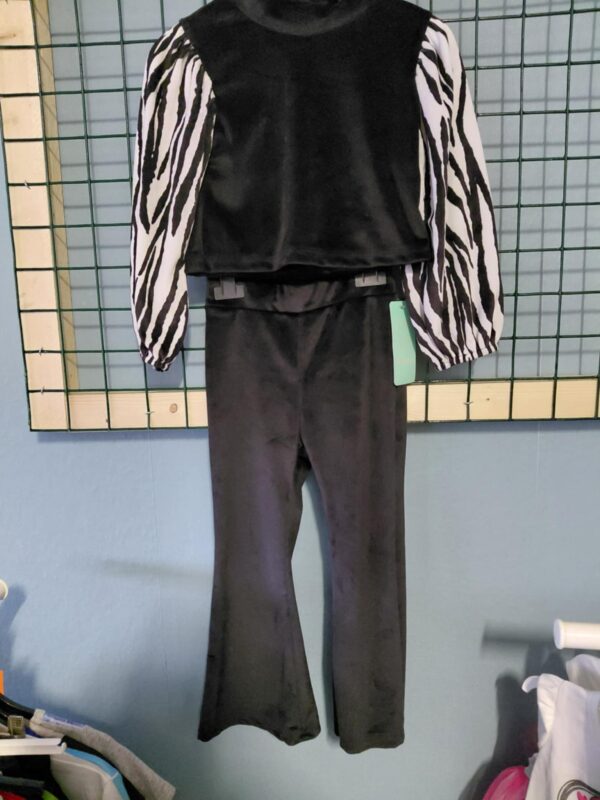 Zebra set