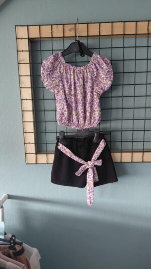 paars bloemen set